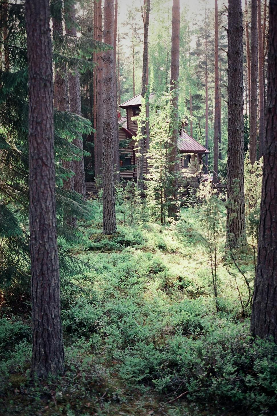 Cypress Mountain Residence