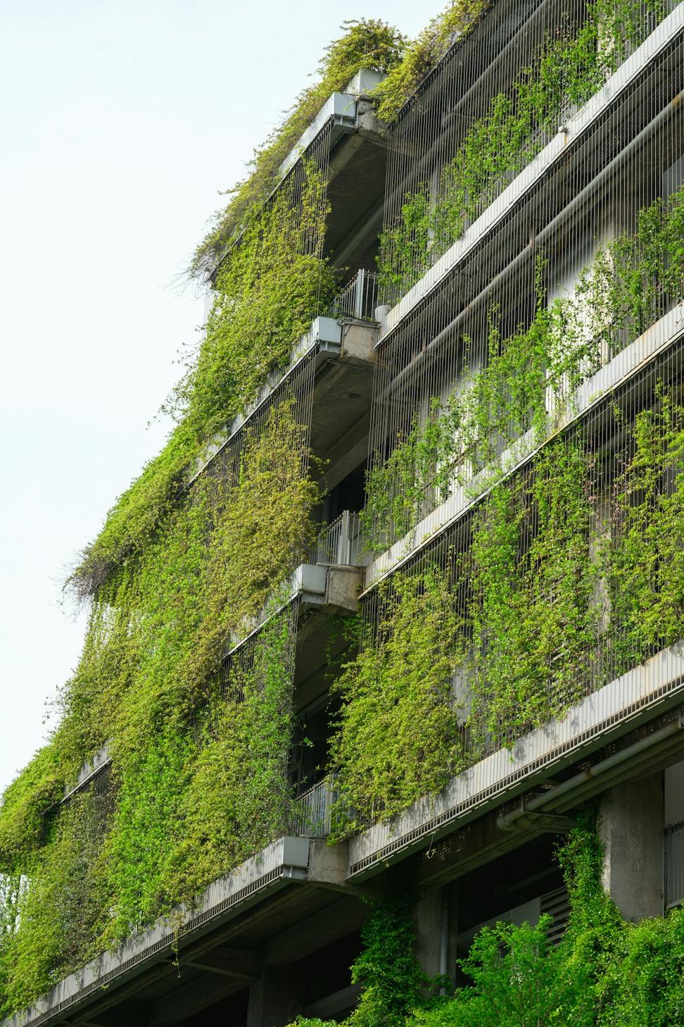 Sustainability