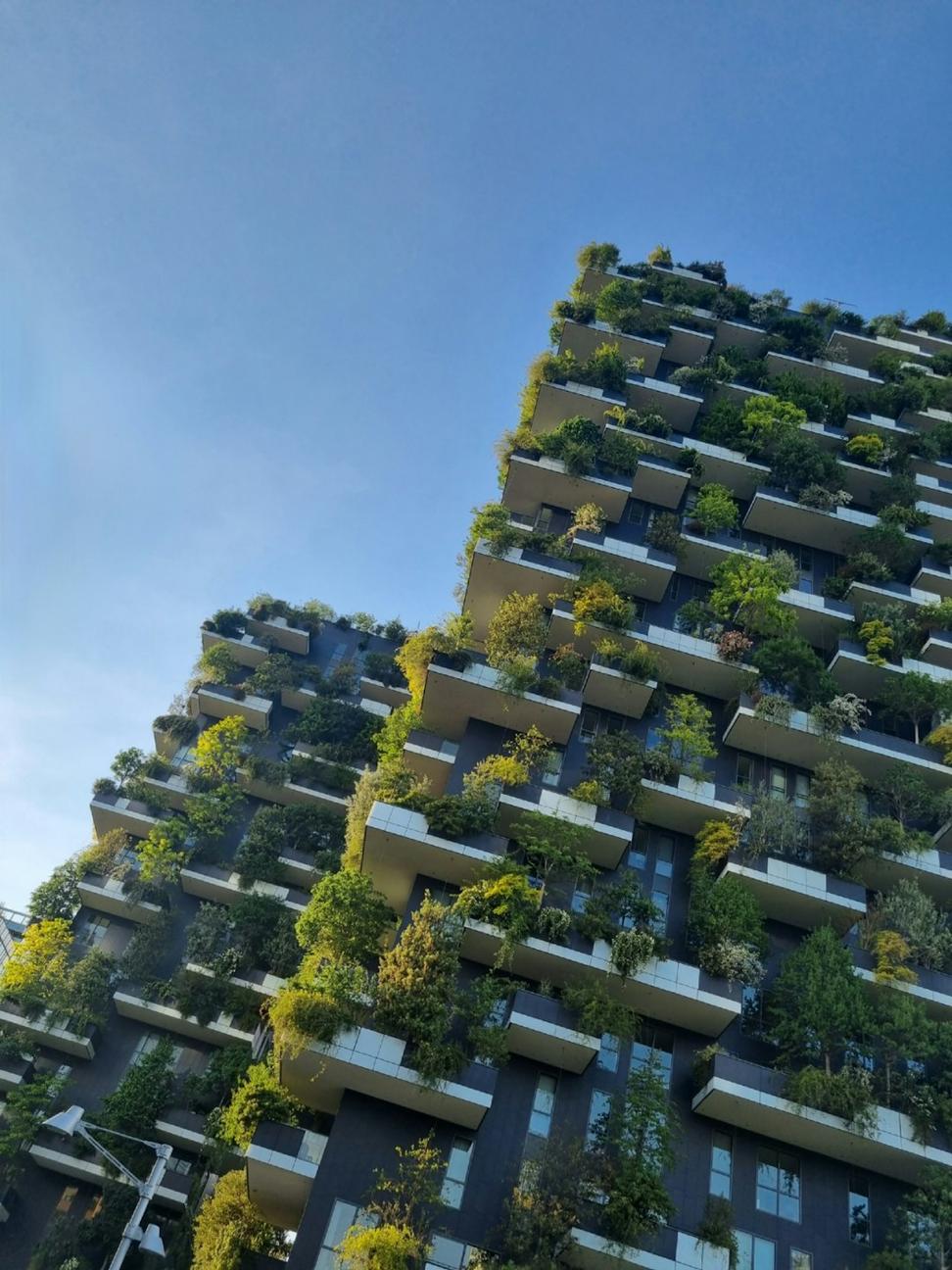 Sustainable design consulting